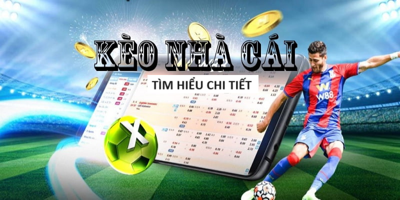 Trang Mạng Cá Cược Uy Tín - Trusted Betting Network